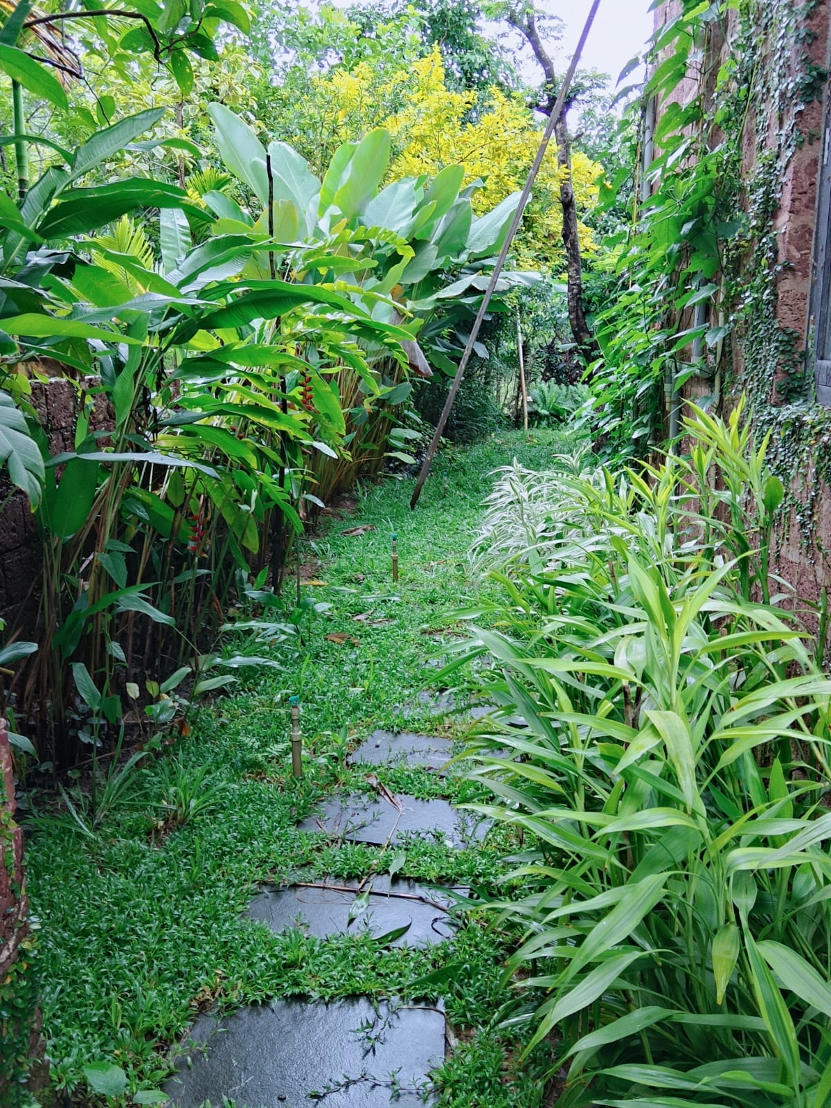 Farmhouse , Kumta
